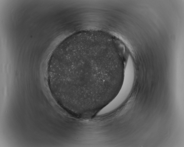 X0000086950673200705141823