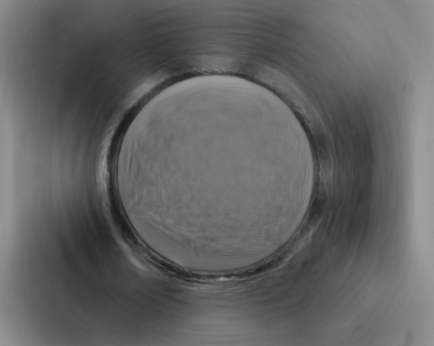 X0000086950674200705141823