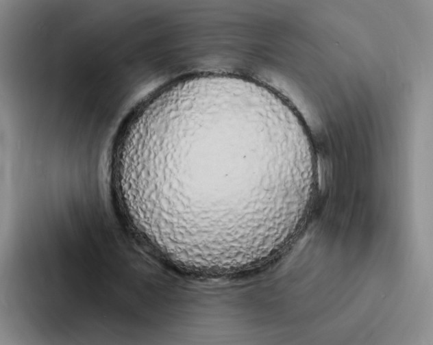 X0000086950675200705141822