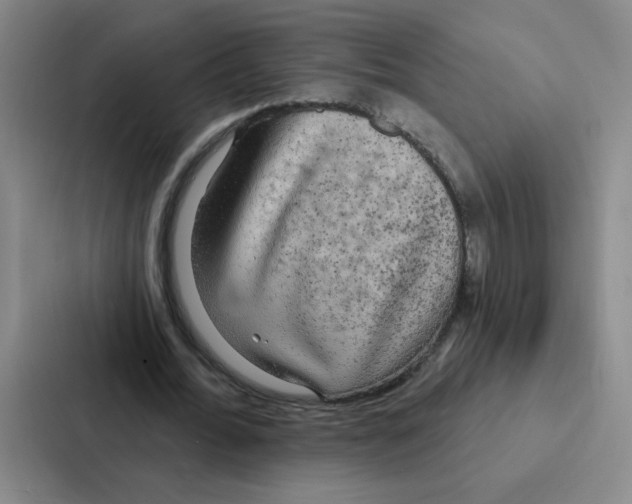 X0000086950676200705141822