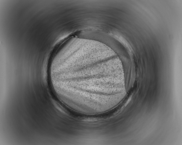 X0000086950677200705141822