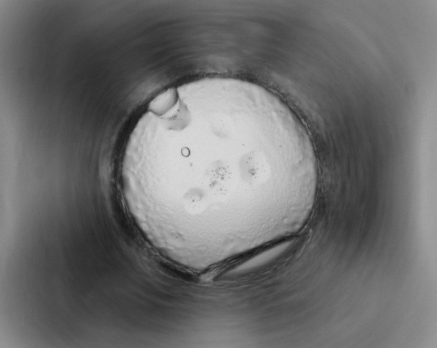 X0000086950679200705141822