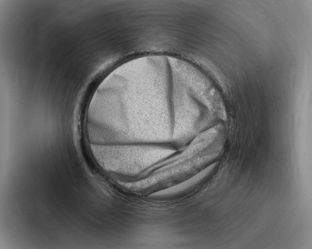 X0000086950680200705141822