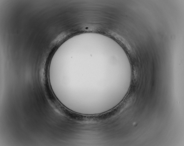 X0000086950682200705141822