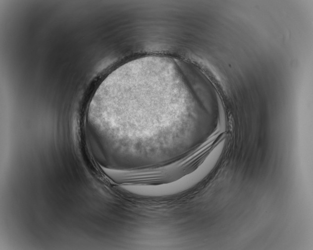 X0000086950684200705141822