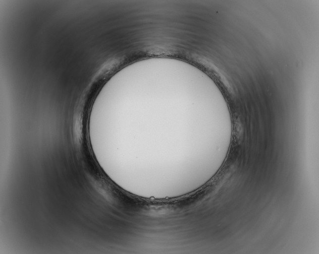 X0000086950686200705141822