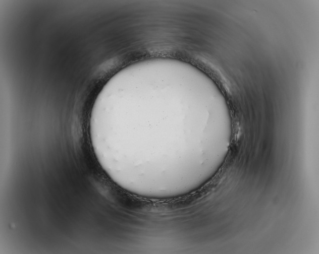 X0000086950687200705141822