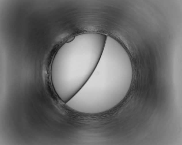 X0000086950688200705141822