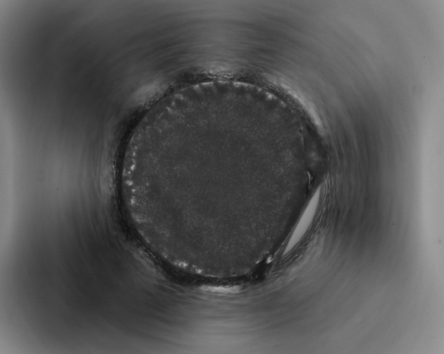 X0000086950689200705141822