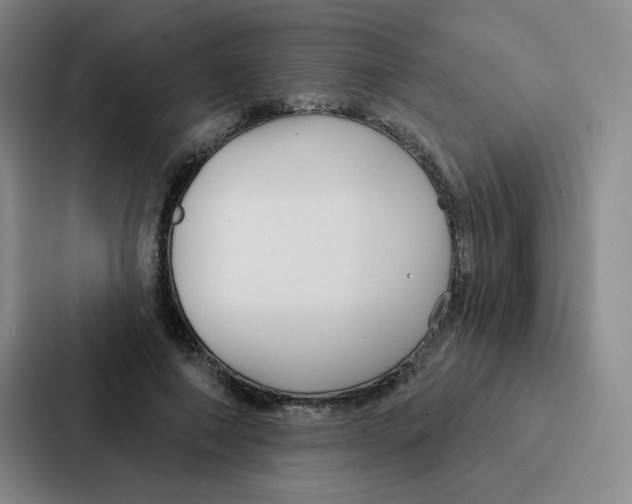 X0000086950690200705141822