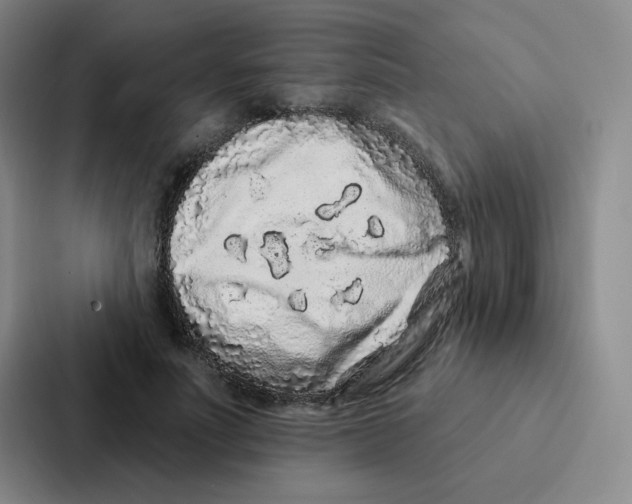 X0000086950691200705141822