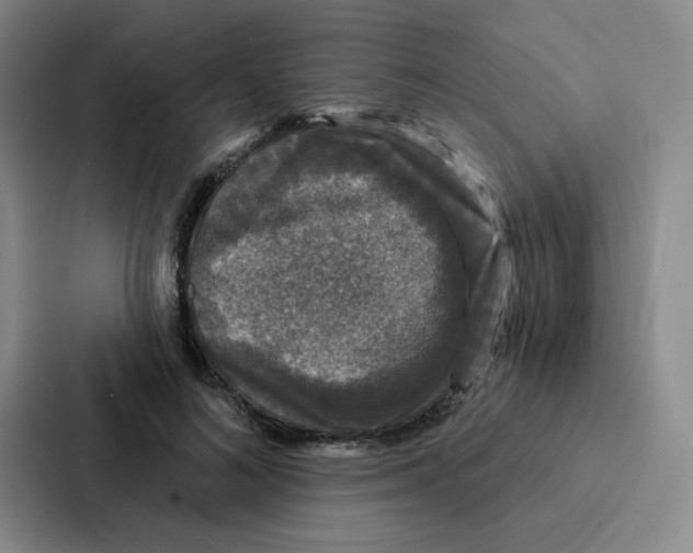 X0000086950692200705141822