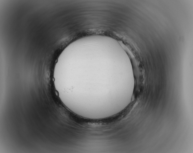 X0000086950693200705141822