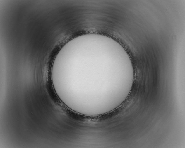 X0000086950694200705141822