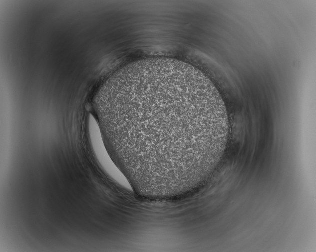 X0000086950695200705141822