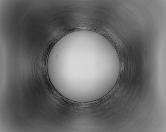 X0000086950696200705141822