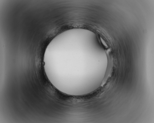 X0000086950697200705141822