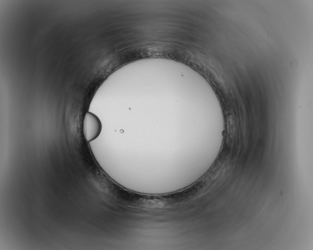 X0000086950698200705141822