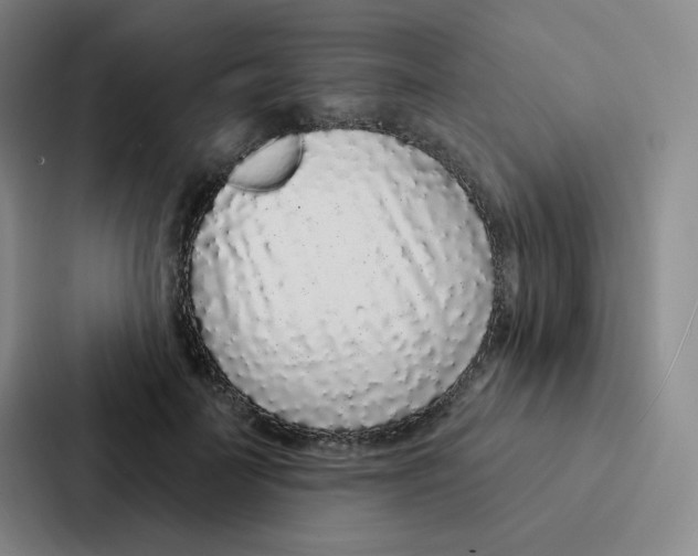 X0000086950699200705141822