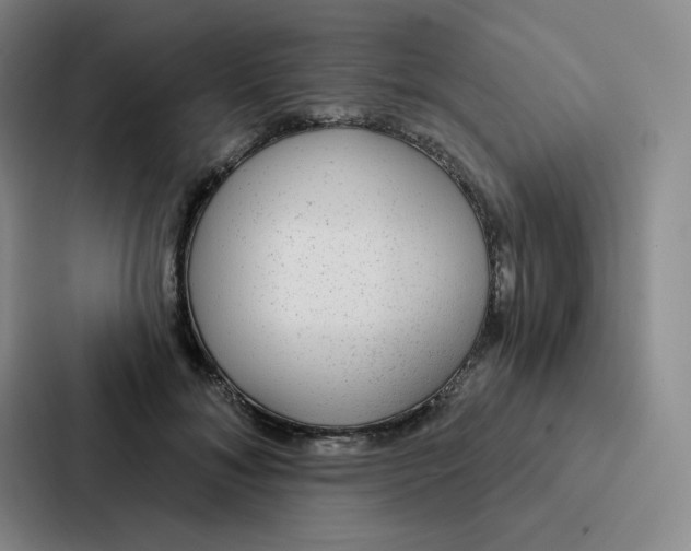 X0000086950700200705141822