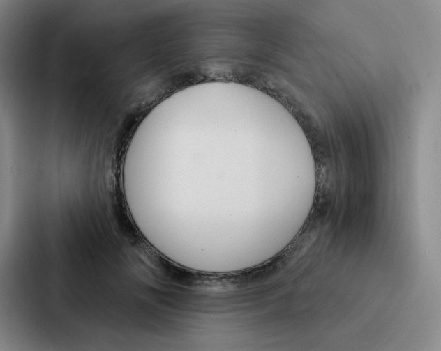 X0000086950702200705141822