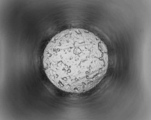 X0000086950703200705141822