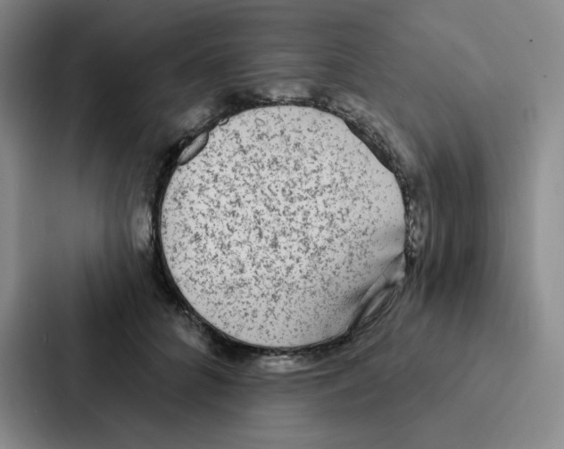 X0000086950704200705141822