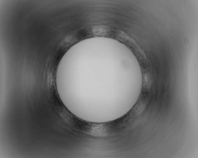 X0000086950705200705141822