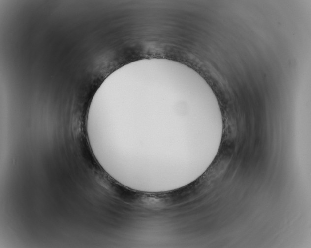 X0000086950706200705141822