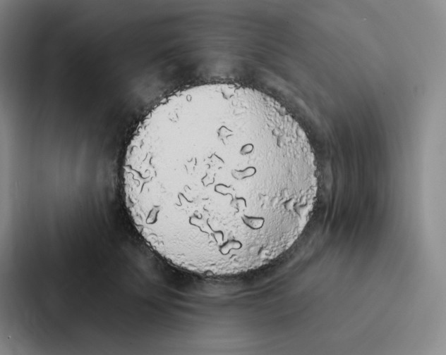 X0000086950707200705141822