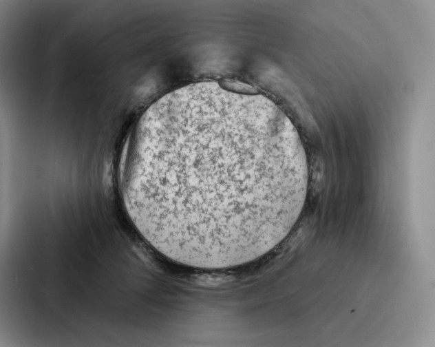 X0000086950708200705141822