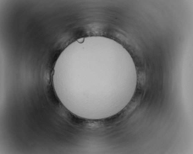 X0000086950709200705141822