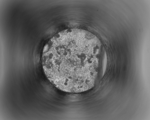 X0000086950711200705141822