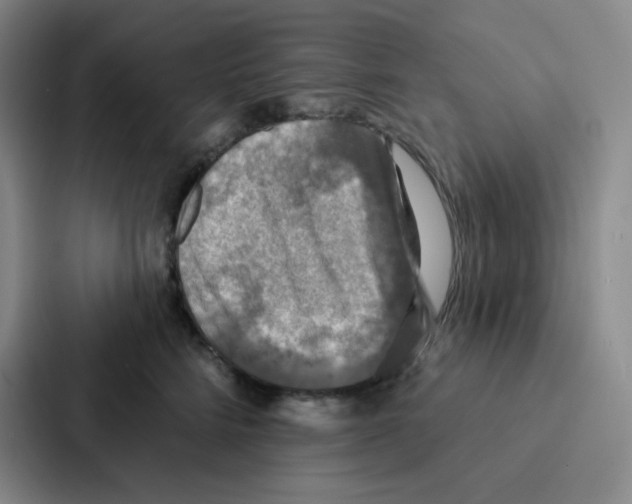 X0000086950712200705141822