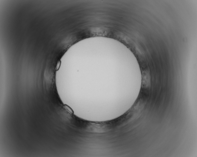 X0000086950713200705141822