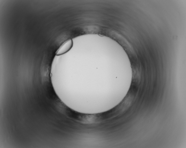 X0000086950717200705141822