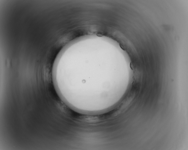 X0000086950719200705141822