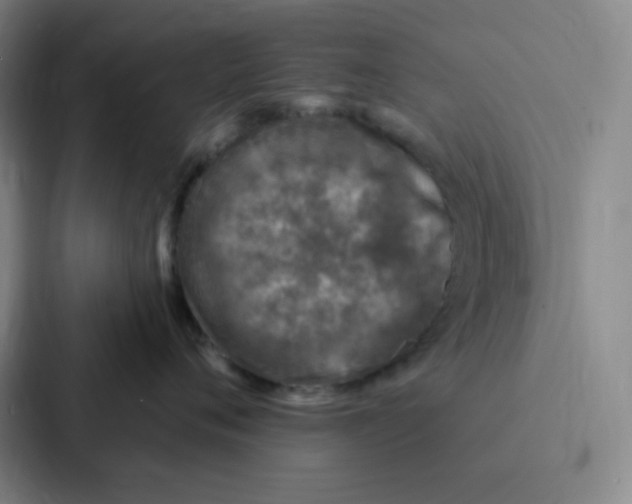 X0000086950720200705141822