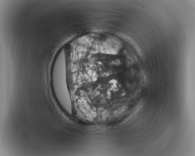 X0000086950721200705141821