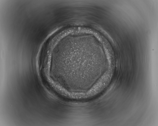 X0000086950722200705141821