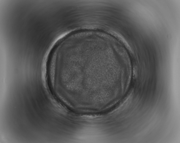 X0000086950724200705141821