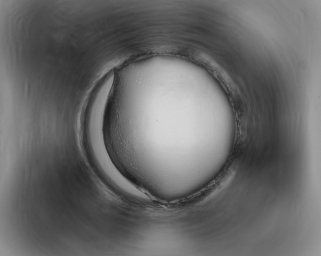 X0000086950725200705141821