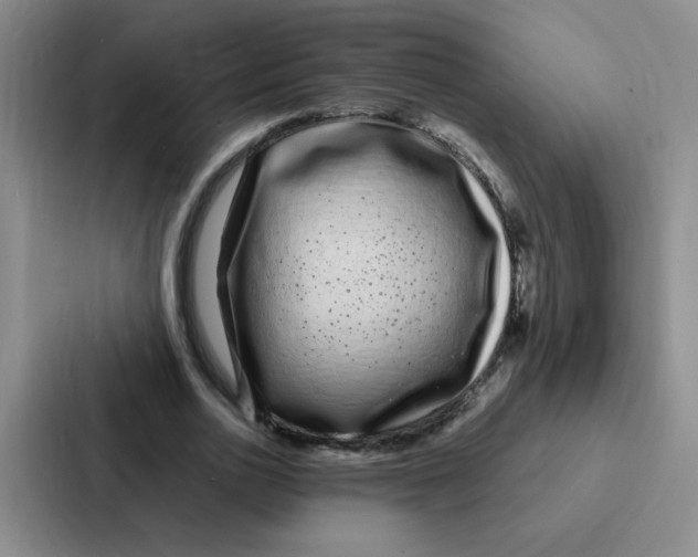 X0000086950726200705141821