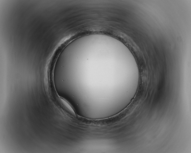 X0000086950727200705141821