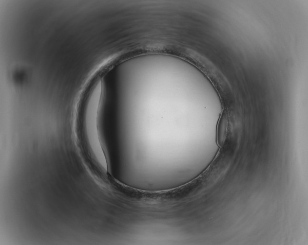 X0000086950728200705141821