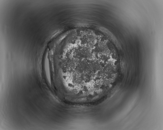 X0000086950729200705141821