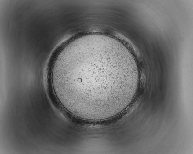 X0000086950730200705141821