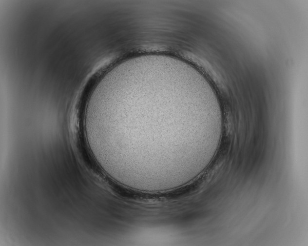 X0000086950731200705141821