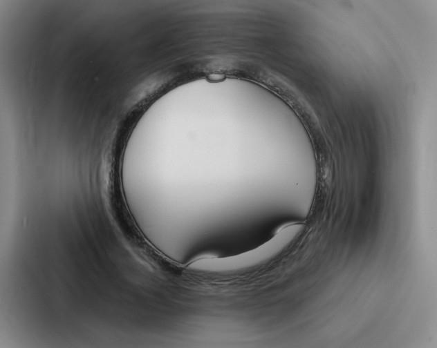 X0000086950732200705141821