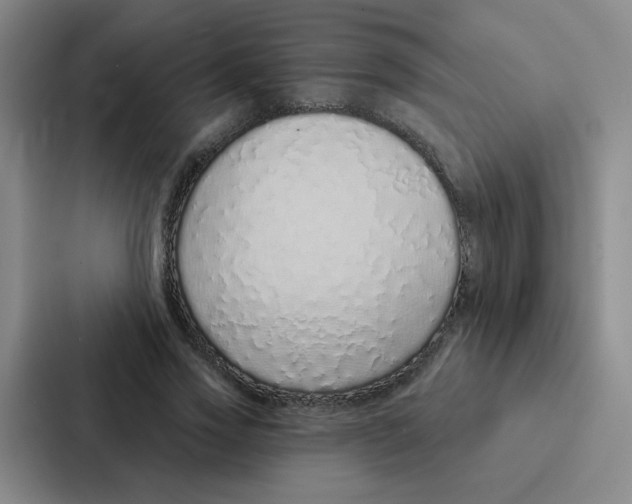 X0000086950733200705141821